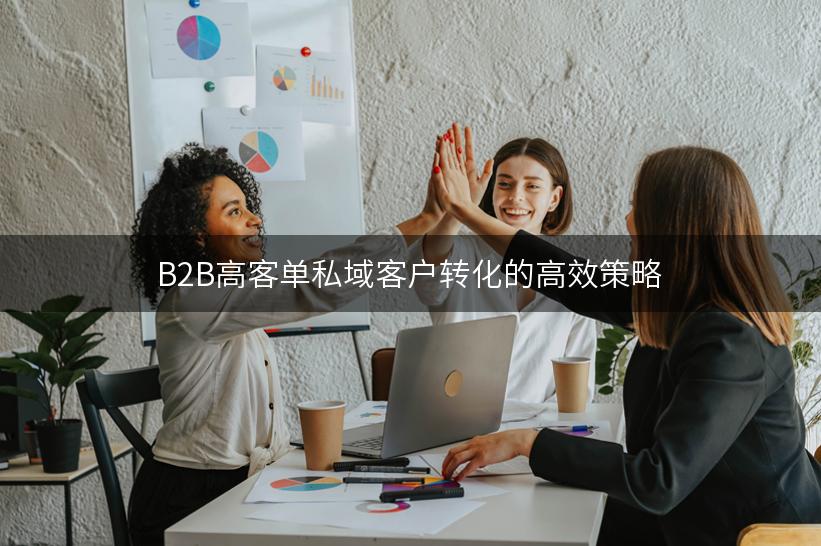 B2B高客单私域客户转化的高效策略