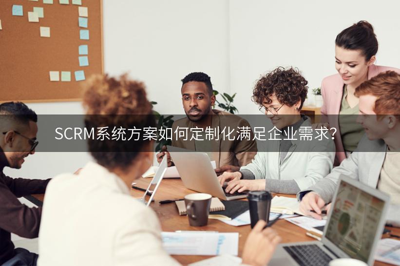 SCRM系统方案如何定制化满足企业需求？