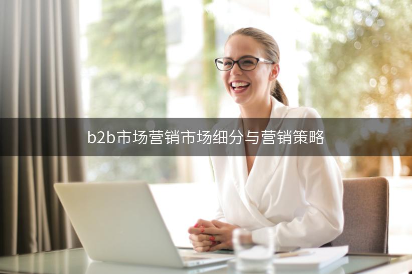 b2b市场营销市场细分与营销策略