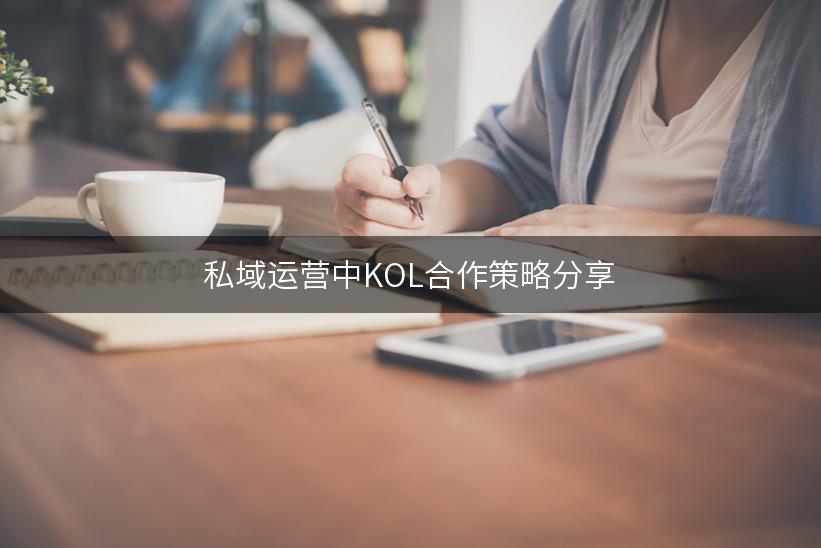 私域运营中KOL合作策略分享