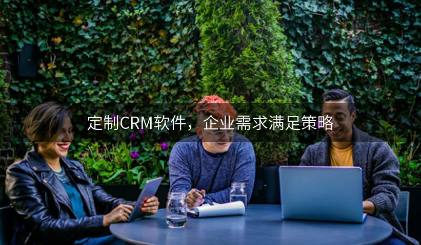 定制CRM软件，企业需求满足策略