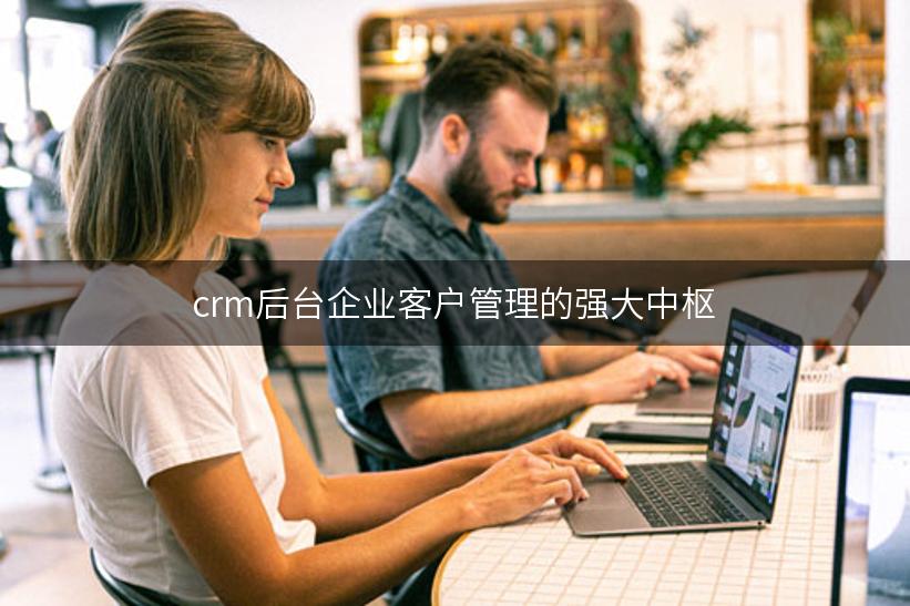 crm后台企业客户管理的强大中枢