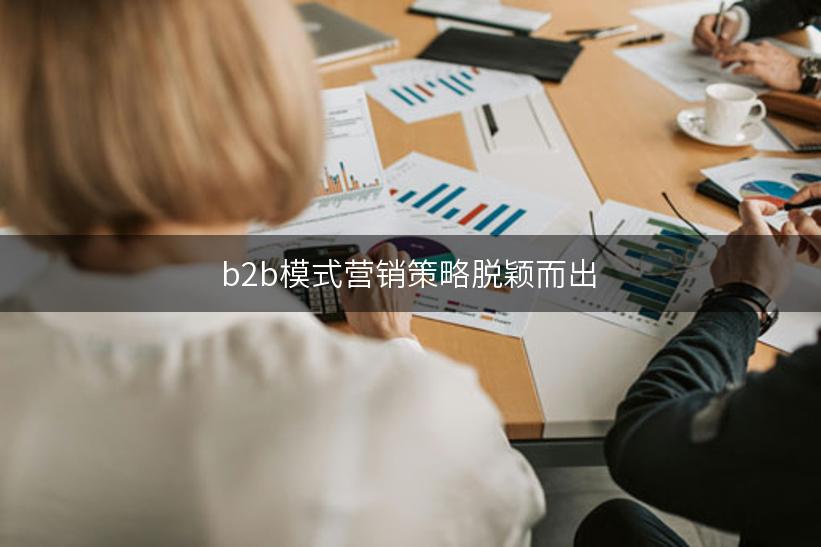 b2b模式营销策略脱颖而出