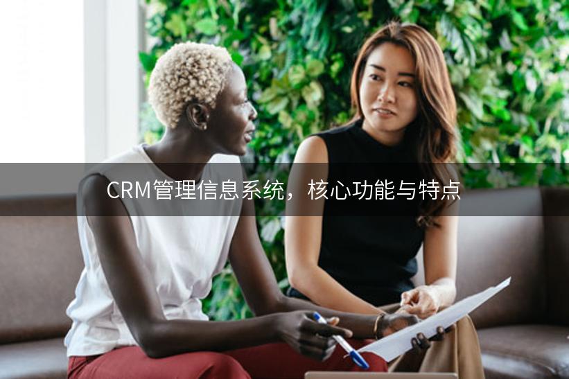 CRM管理信息系统，核心功能与特点