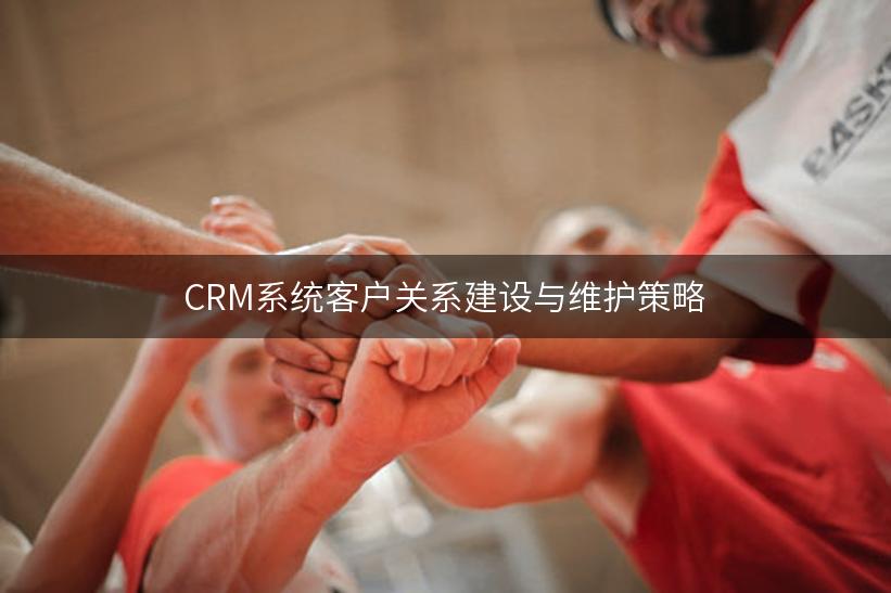 CRM系统客户关系建设与维护策略