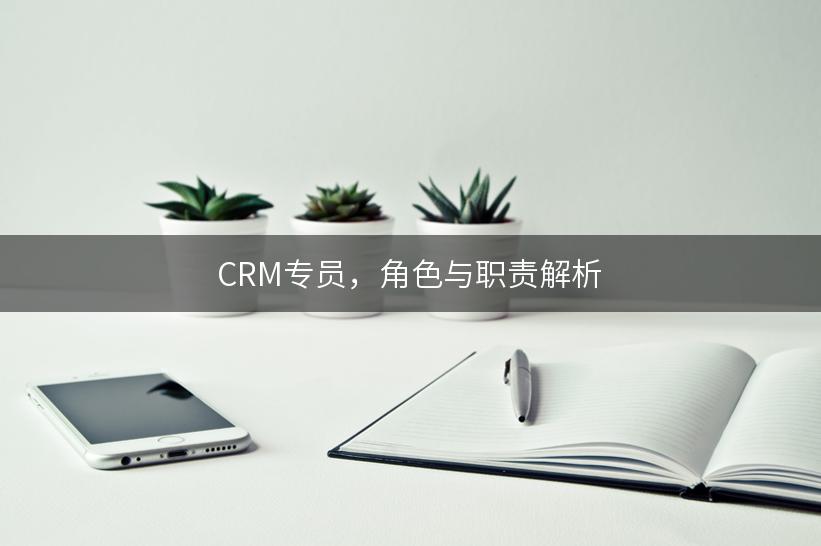 CRM专员，角色与职责解析