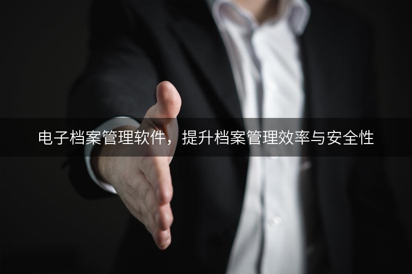 电子档案管理软件，提升档案管理效率与安全性