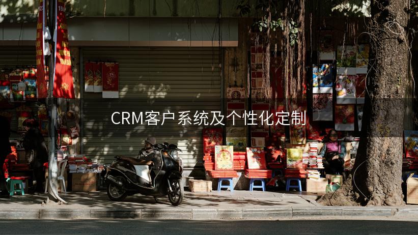 CRM客户系统及个性化定制