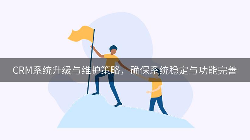 CRM系统升级与维护策略，确保系统稳定与功能完善