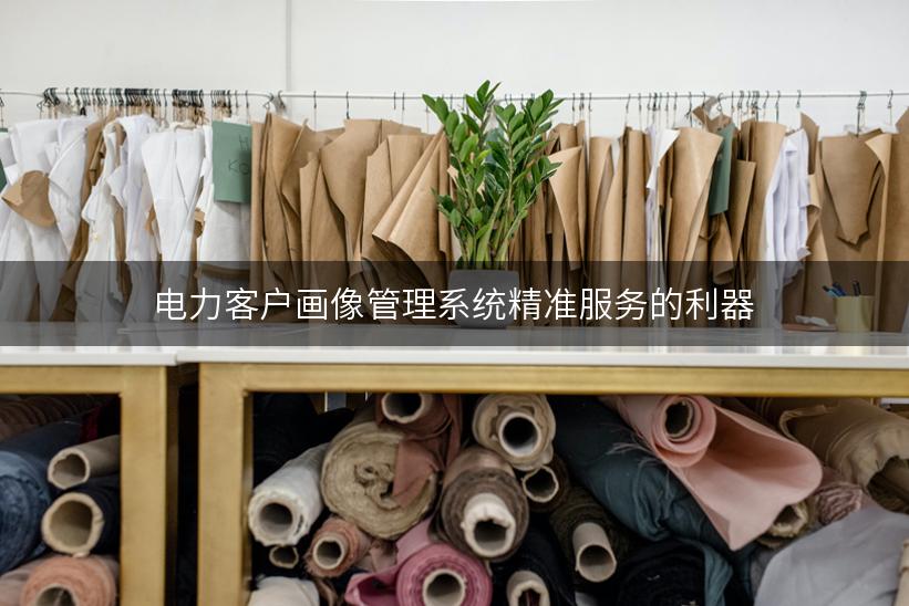 电力客户画像管理系统精准服务的利器