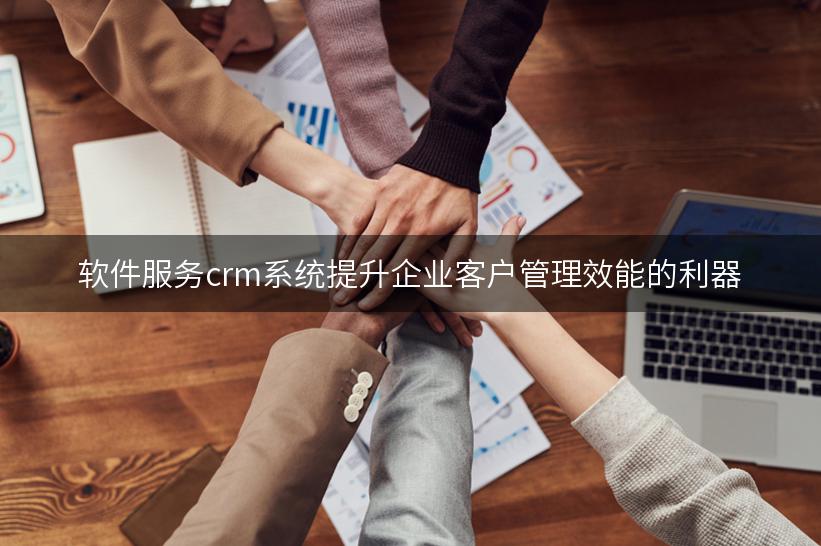 软件服务crm系统提升企业客户管理效能的利器