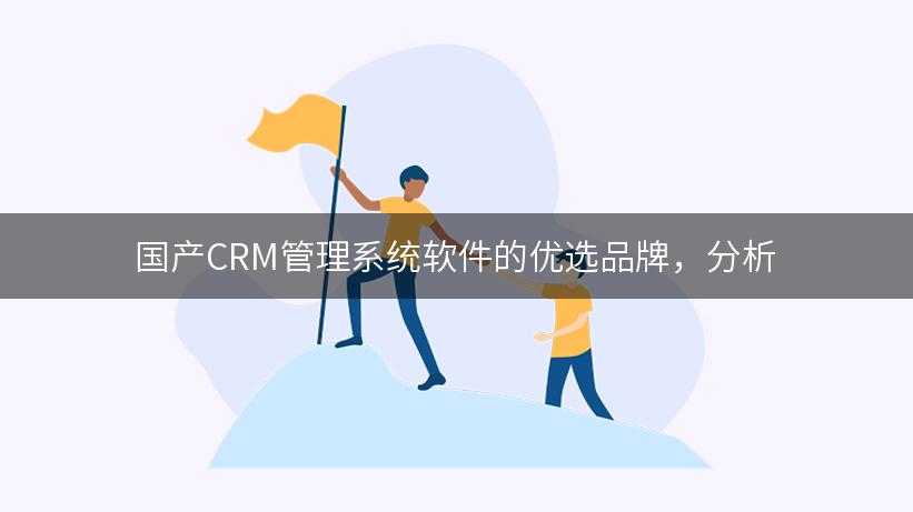 国产CRM管理系统软件的优选品牌，分析