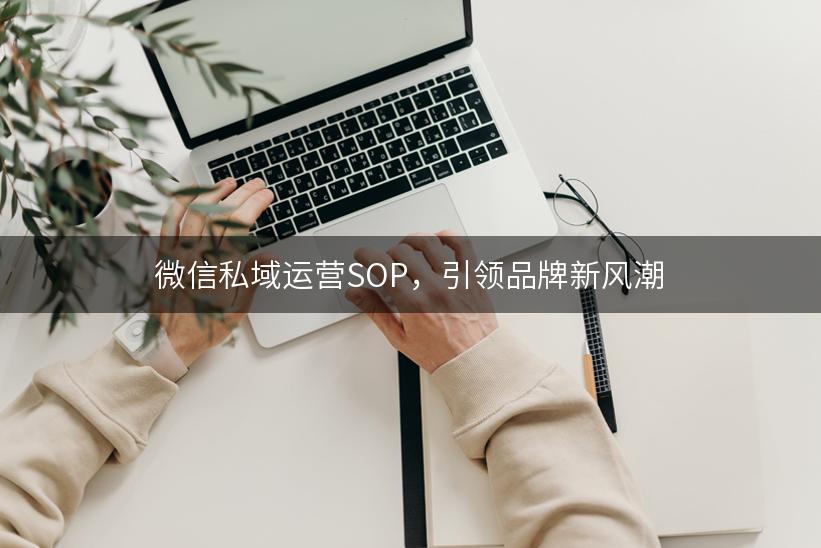 微信私域运营SOP，引领品牌新风潮