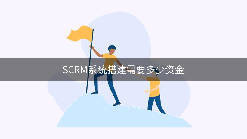 SCRM系统搭建需要多少资金