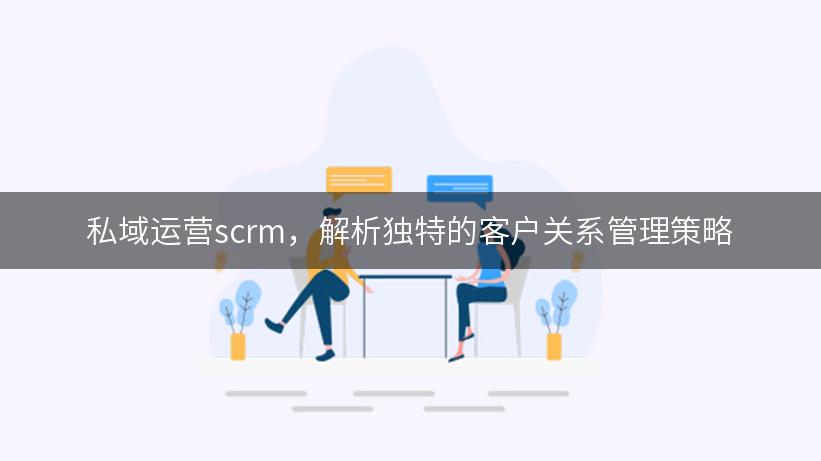 私域运营scrm，解析独特的客户关系管理策略